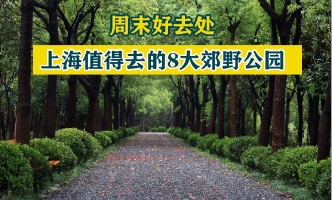 上海值得去的8大郊野公园 | 郊游好去处